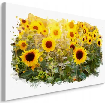 Obraz Obraz Canvas KVĚTY Slunečnice Rostliny 3D 30x20