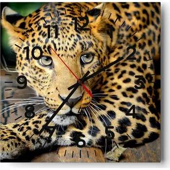 Hodiny Kuchyňské nástěnné hodiny 30x30 Zvířata Skleněné hodiny do obýváku Moderní Tiché