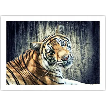 Obraz Plakát bez rámu do obývacího pokoje ložnice 70x50 zvířata moderní módní obraz