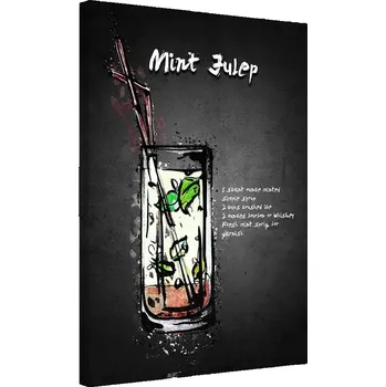 Obraz Obraz na plátně Canvas Koktejl Mint Julep 60x90