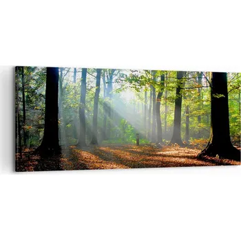 Obraz Foto obraz na plátně canvas 100x40 les obývák ložnice na zeď velký