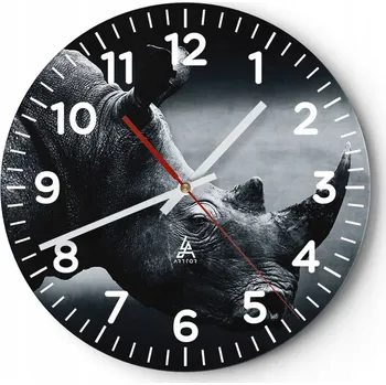 Hodiny Kuchyňské nástěnné hodiny 30x30 Nosorožec Moderní skleněné hodiny Tichý chod do obýváku