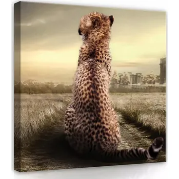 Obraz OBRAZ NA PLÁTNĚ CANVAS 80x80 GEPARD KOČKA PŘÍRODA