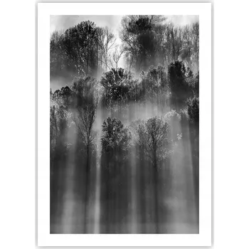 Obraz Plakát bez rámu do obýváku ložnice 50x70 krajina moderní módní obraz