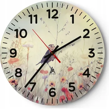 Hodiny Kuchyňské nástěnné hodiny 30x30 Pták Moderní skleněné hodiny do obýváku Tiché