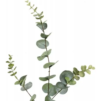 umělá květina WESTWING Umělá zelená větvička eukalyptu „Aracely“, 84 cm