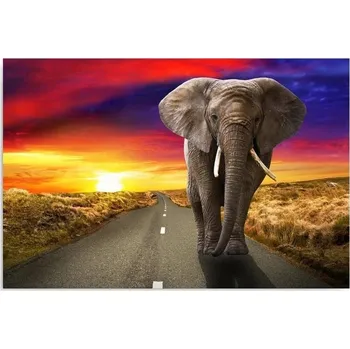 Obraz Obraz na plátně - Canvas, Slon na silnici 50x40