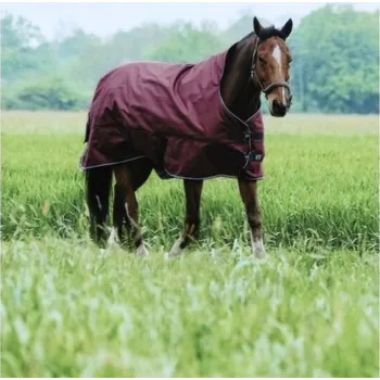 Deka pro koně Lehká výběhová deka EQUITHEME Tyrex 1200D High Neck 0g burgundy 145cm