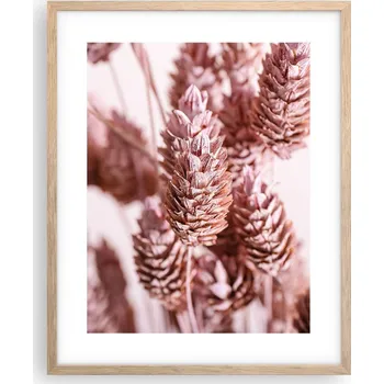 Obraz Obraz plakát na zeď v rámu světlý dub 40x50 Květiny sušené rostliny obrazy do obýváku