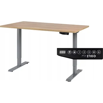 Psací stůl Obdélníkový psací stůl Pro Ergo 138 x 80 x 121 cm grafit