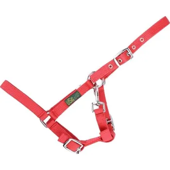 Ohlávka USG pro hříbata red