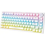 Yenkee YKB 31 ODYSSEY