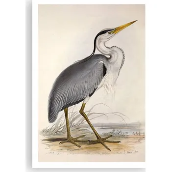 Obraz Plakát na zeď bez rámu 70x100 pták foto-obraz plakáty do obývacího pokoje ložnice