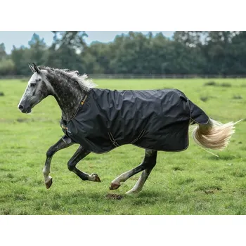 Deka pro koně Výběhová deka BUCAS Irish Turnout 50g black/gold 100cm