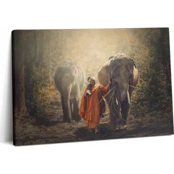 Obraz Canvas Obraz Premium Plátno Do Předsíně Mnich A Sloni 60x40 cm