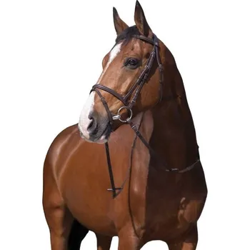 Uzdečka RIDING WORLD Murserolle Combinée s anglickým nánosníkem havana PONY