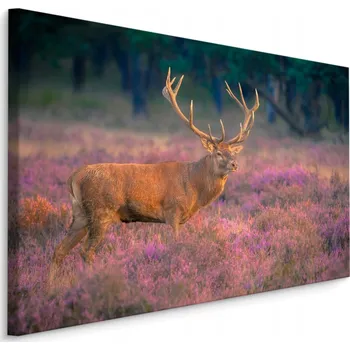 Obraz Obraz na plátně JELEN v Říji Květiny 40x30