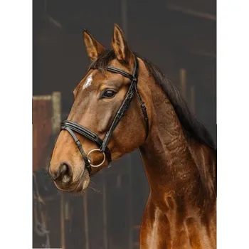 Uzdečka NORTON PRO Apophyse s anglickým nánosníkem černá PONY