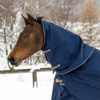 Jezdectví Krční díl BUCAS Irish 300g navy/gold (M)