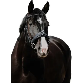 Lonžovací obnosek NORTON Wide černý FULL