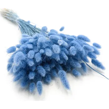 mech-mech.cz Sušený Králičí ocas - (Lagurus) - Azurová