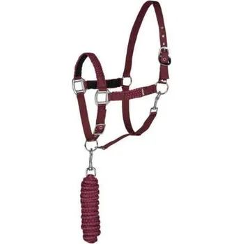 Ohlávka s vodítkem HORZE Chicago vínová XFULL