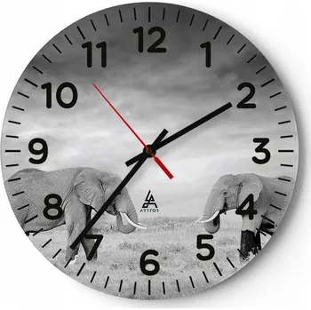 Hodiny Nástěnné hodiny do obýváku 40x40 Slon Kulatý Skleněné hodiny Loft Tiché
