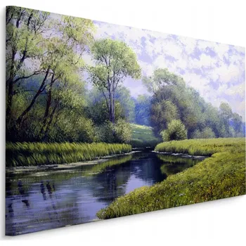 Obraz Obraz Canvas Řeka v Lese ZELEŇ Příroda 3D 70x50