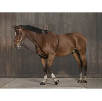 Lonžovací vyvazovačky NORTON hnědé COB