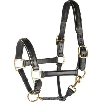 Kožená ohlávka HARRY'S HORSE černá se zlatým lemem COB