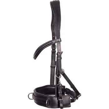 Lonžovací obnosek HARRY'S HORSE Lung černý COB