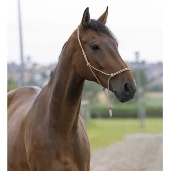 Provazová ohlávka NORTON First béžová FULL