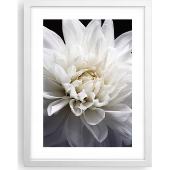 Obraz Obraz plakát v bílém rámu do obýváku 30x40 květinový foto plakát na zeď