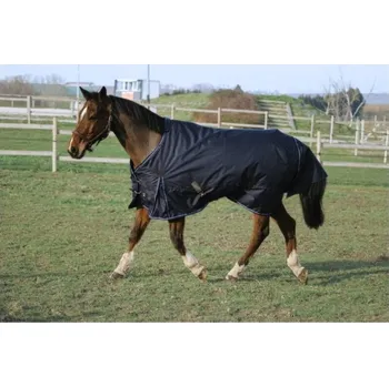 Deka pro koně Lehká výběhová deka EQUITHEME Classic 600D 0g 155cm