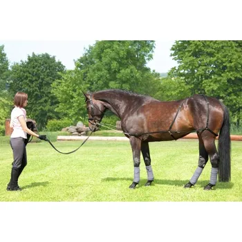 Lonžovací postroj USG černý PONY/COB