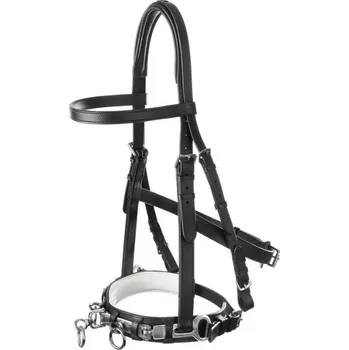 Lonžovací obnosek USG kožený COB