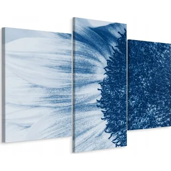 Obraz Obraz Tryptych MODRÝ Slunečnice Příroda 60x40