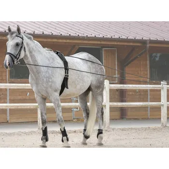 Dvojitá lonž RIDING WORLD black