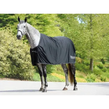 Deka pro koně Transportní/odpocovací deka BUCAS Price Cooler black/silver 125cm
