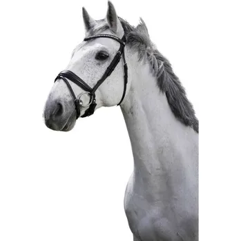 Uzdečka NORTON PRO Strass se švédským nánosníkem černá COB