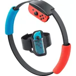 Nintendo Ring Fit Adventure