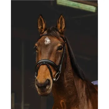 Uzdečka NORTON PRO Dark s anglickým nánosníkem černá COB