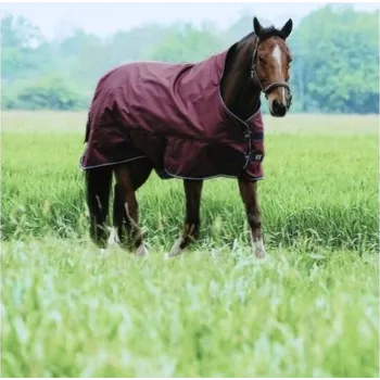 Deka pro koně Výběhová deka EQUITHEME Tyrex 1200D High Neck 300g vínová 165cm