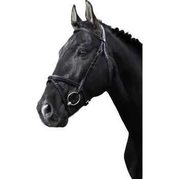 Uzdečka NORTON PRO Fin s anglickým nánosníkem černé PONY