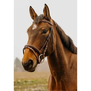 Uzdečka NORTON CLUB Strass V s anglickým nánosníkem havana COB