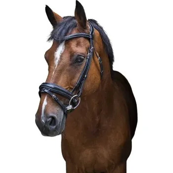 Uzdečka ERIC THOMAS Pro Design se švédským nánosníkem černá COB