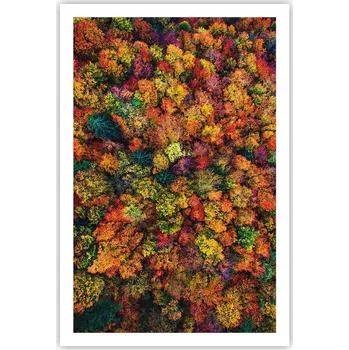 Obraz Obraz plakát do obýváku ložnice 61x91 krajina plakáty na zeď bez rámu