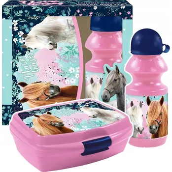 Svačinový box Sada lahev na pití Derform 330 ml a svačinový box