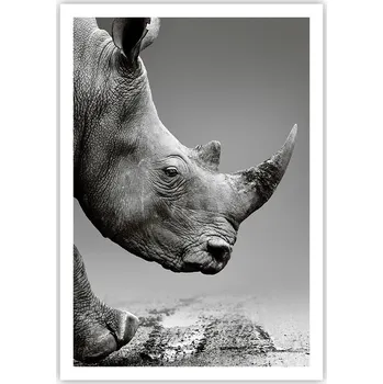 Obraz Plakát na zeď bez rámu 70x100 nosorožec obraz plakáty do obývacího pokoje ložnice