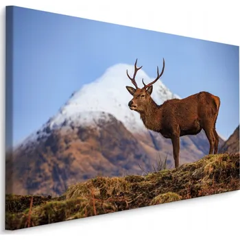 Obraz Obraz do Obývacího Pokoje JELEN Horská Krajina 3D 70x50